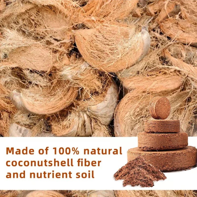 🔥 LAST DAY 49% OFF 🌱 Premium Organic Coconut Coir Bricks For Plants
